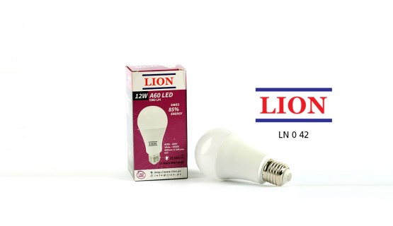 LED Light Bulb 12W