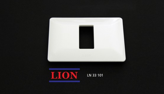 Cover 1 capacity - Lion